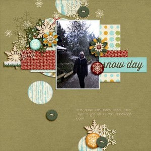 Day 15 Snow Day