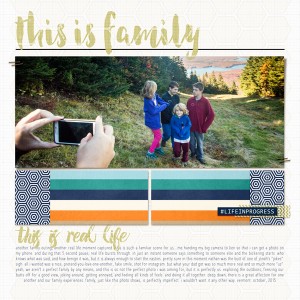 this is family/moc 5: imperfect photo