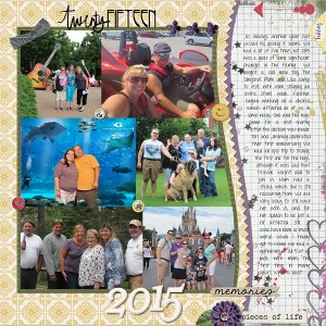 2015Summary For MOC