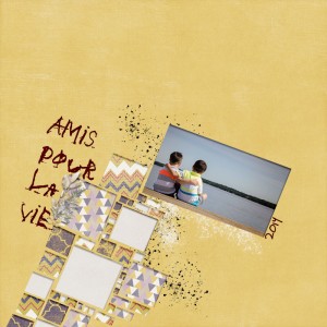 Amis pour la vie