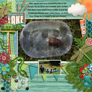 MOC23 Home for Turtle