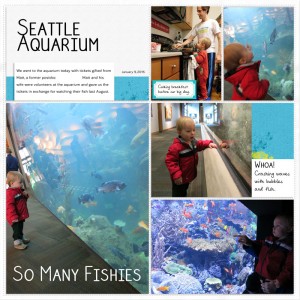 January Aquarium page 1