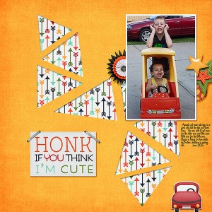Honk-if-I-am-Cute_Reaga