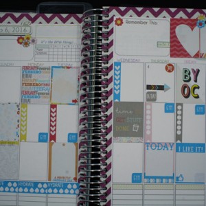 Bella Gypsy Feb Planner Week 1