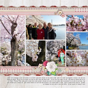 Cherry Blossoms - Right
