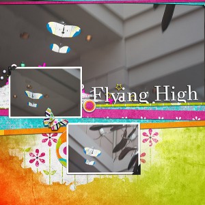 Flying High