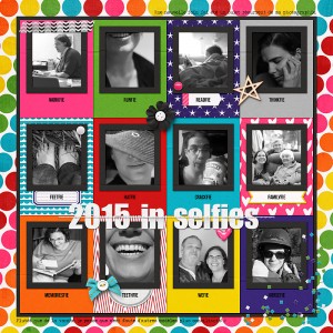 2015 in selfies