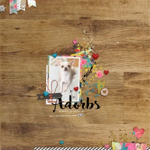 Adorbs - MOC Jan. 30