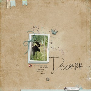 Discover