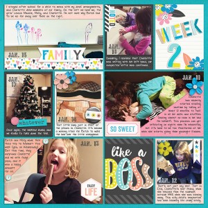 2016 P366 Week 2