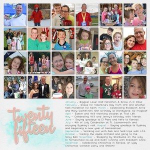 2015 Year in Review