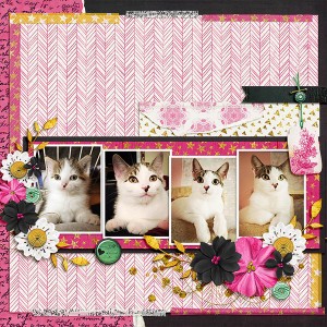 Watson MOC 29