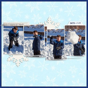 11.17.2015-snowball