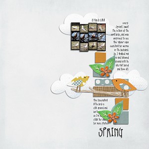 Spring Bird