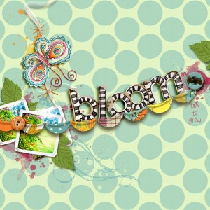 Bloom 2011
