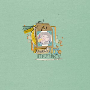 sweet little monkey