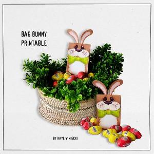 Bag Bunny!!!