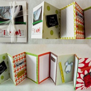 pregnant mini album