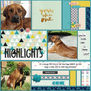 highlights