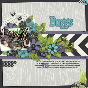 MOC 21 - Buggs