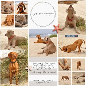just the highlights