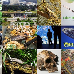 Academy of Sciences Full