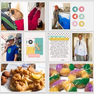 Project Life 2015 - Highlights from Mobile 2-16 - 2-22