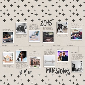 2015 Milestones