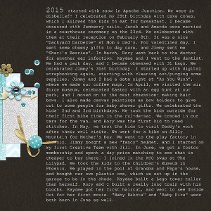 2015 Year In Review 1