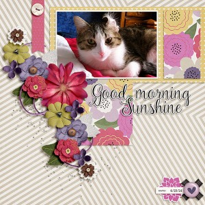 good morning