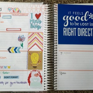 Planner February first week spread EC