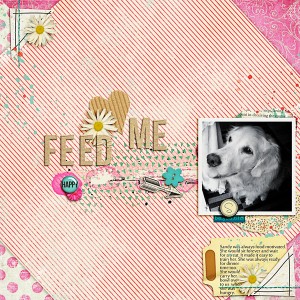 Feedme-copy