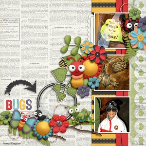 bugs
