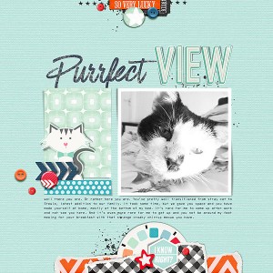 Purrfect View