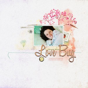 Love Bug