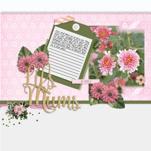 SwL_AllThingsNewss