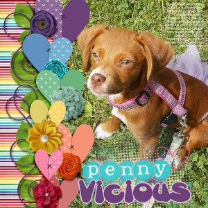 Fosters_penny614sm