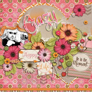Crazy Happy Life