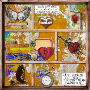 Broken Wing Shadow Box