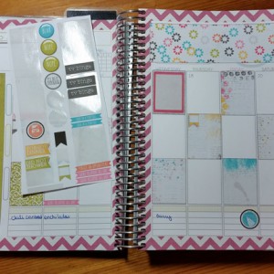 2016 Planner Feb Week 2