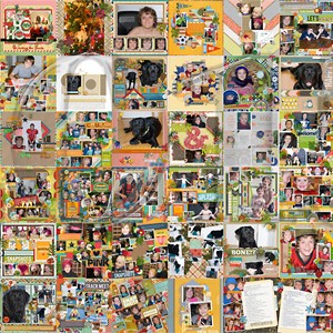 Scrap Layouts in 2015 (double page)