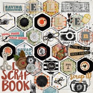 I Scrap Book
