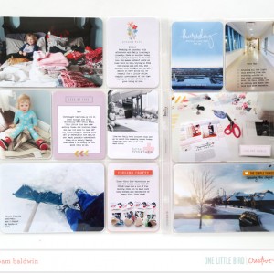 Onelittlebird-febproject-bypambaldwin