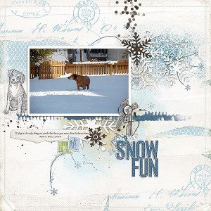 snow fun