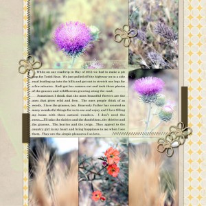 SAHLIN STUDIO FEBRUARY BLOG CHALLENGE