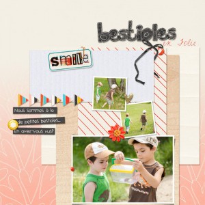 Bestioles en folie