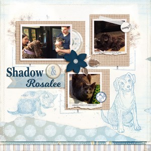 Shadow meets Rosie