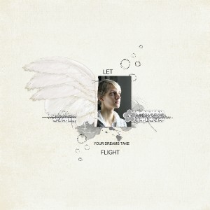 Take Flight