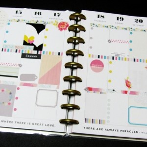 Planner Pages Feb 15-21