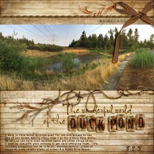 The Wonderful World of the Duck Pond